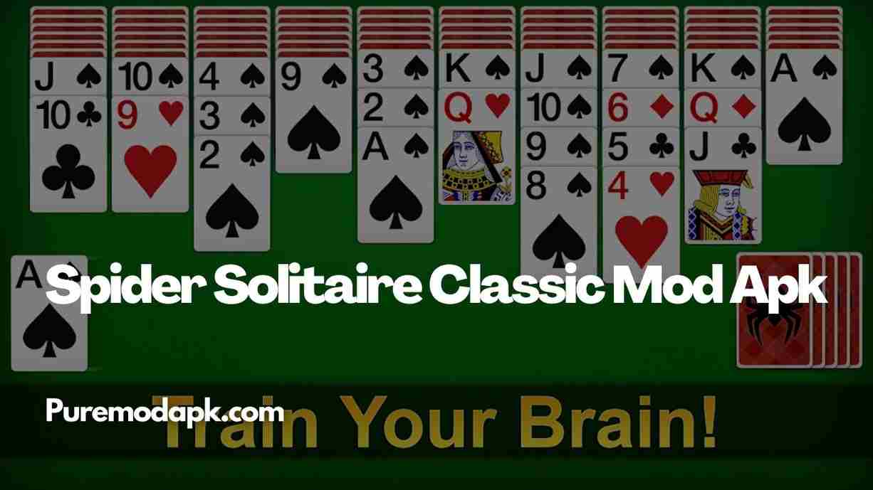 Download Spider Solitaire Classic Mod Apk v1.0.1 for Free [Unlimited Money]